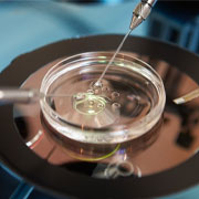 Embryo Donation fertilization