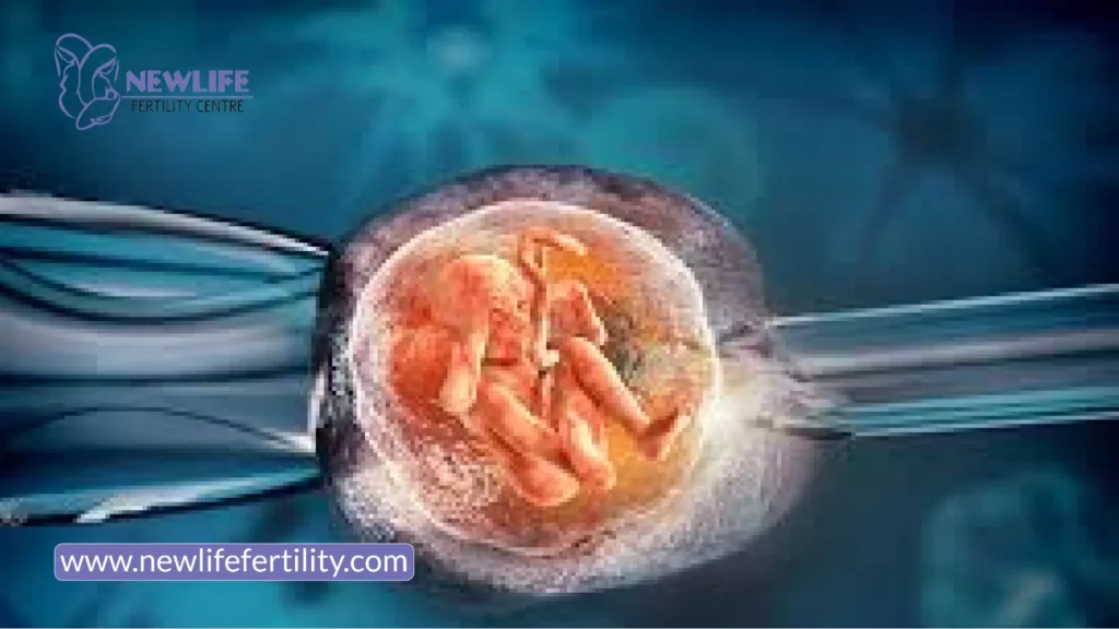 Managing IVF stress and how painful is in vitro fertilization.