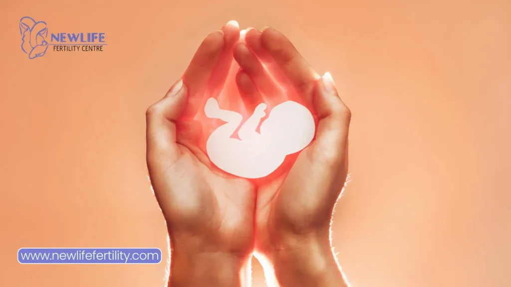 Surrogate mother Ontario takes part in the embryo transfer process.
