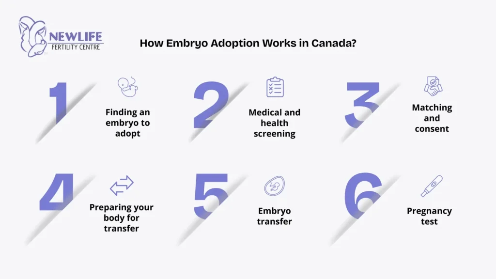 The process involves matching, medical preparation, and a supportive transfer pathway for intended families.