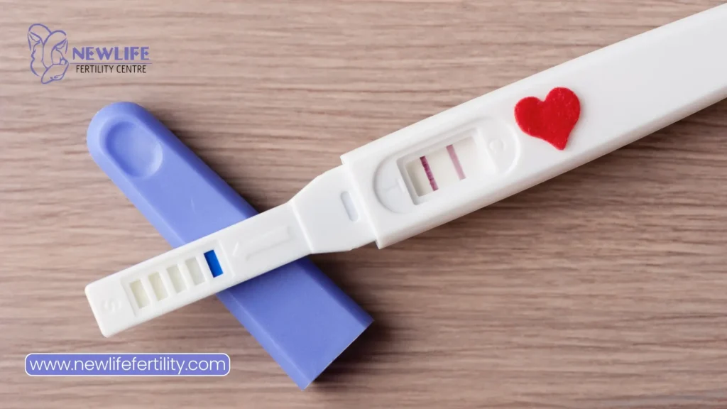 Natural conception begins with the union of egg and sperm naturally.