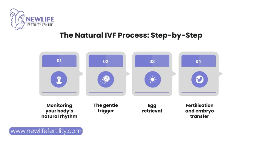 What Is Natural IVF? Process, Benefits, and Success
