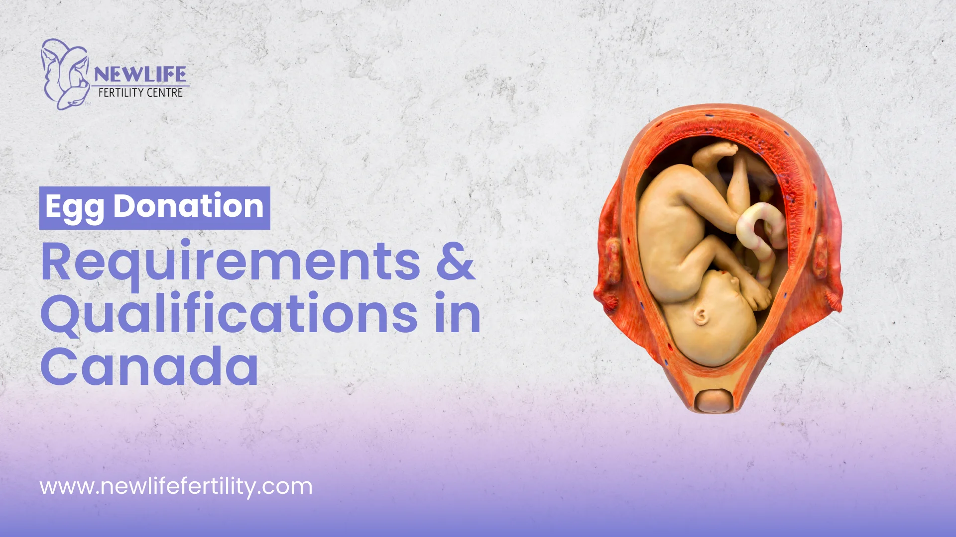 Egg donation eligibility covers key requirements in Canada.