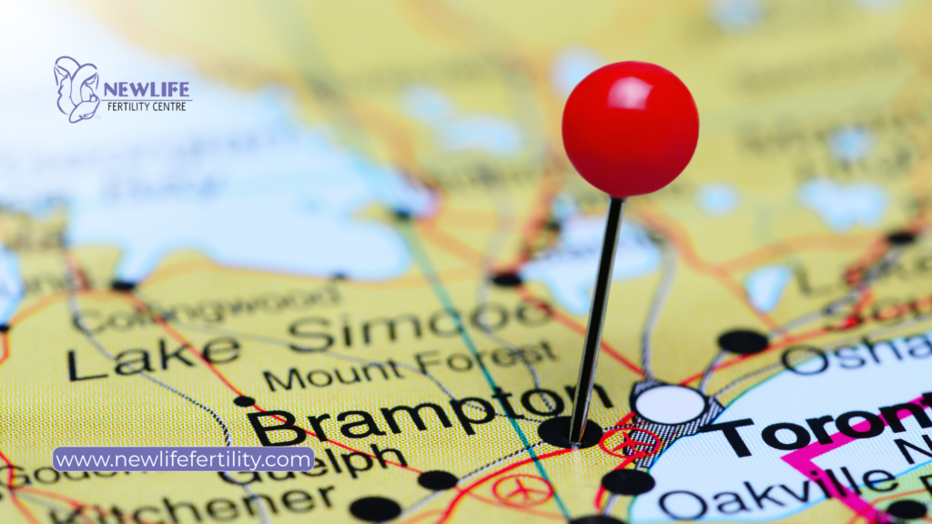 See why these fertility clinics in Brampton earned trust.
