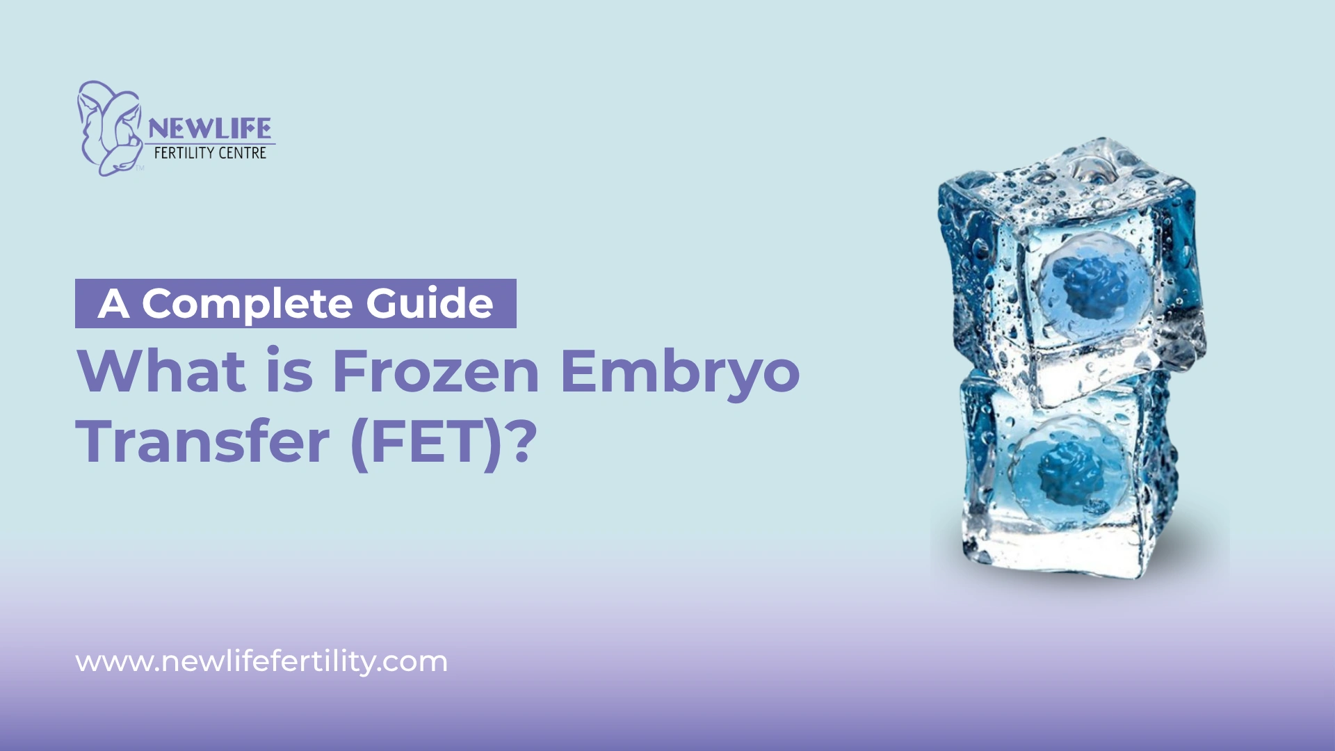 Frozen embryo transfer offers advanced fertility treatment options.