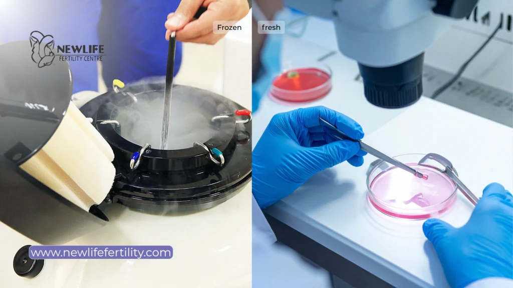 Frozen embryo transfer success rate vs. Fresh embryo transfer comparison.