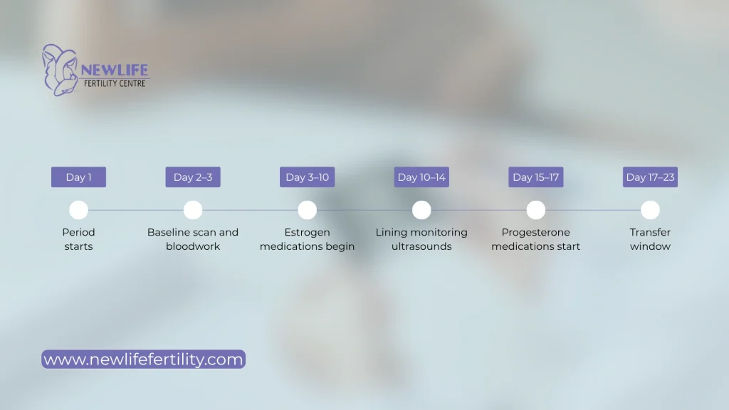 Frozen embryo transfer cycle timeline.