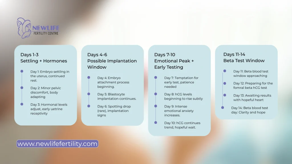 Frozen embryo transfer symptoms day by day may change throughout the fertility journey.