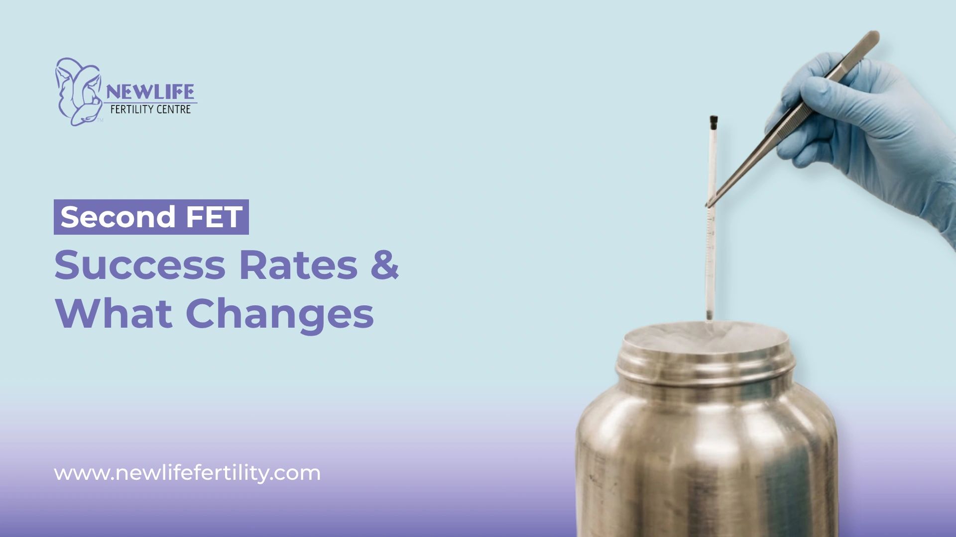 Guide on second frozen embryo transfer success rate.