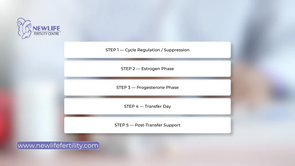 Medication protocol for frozen embryo transfer helps support a structured fertility treatment plan.