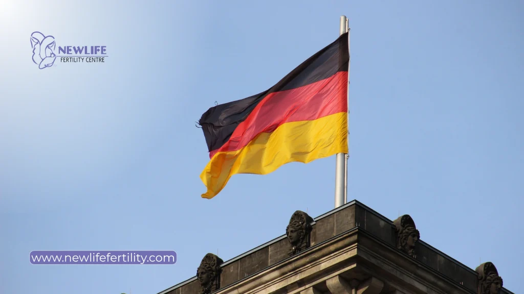Belgium is often included in discussions about countries with free IVF and publicly funded.