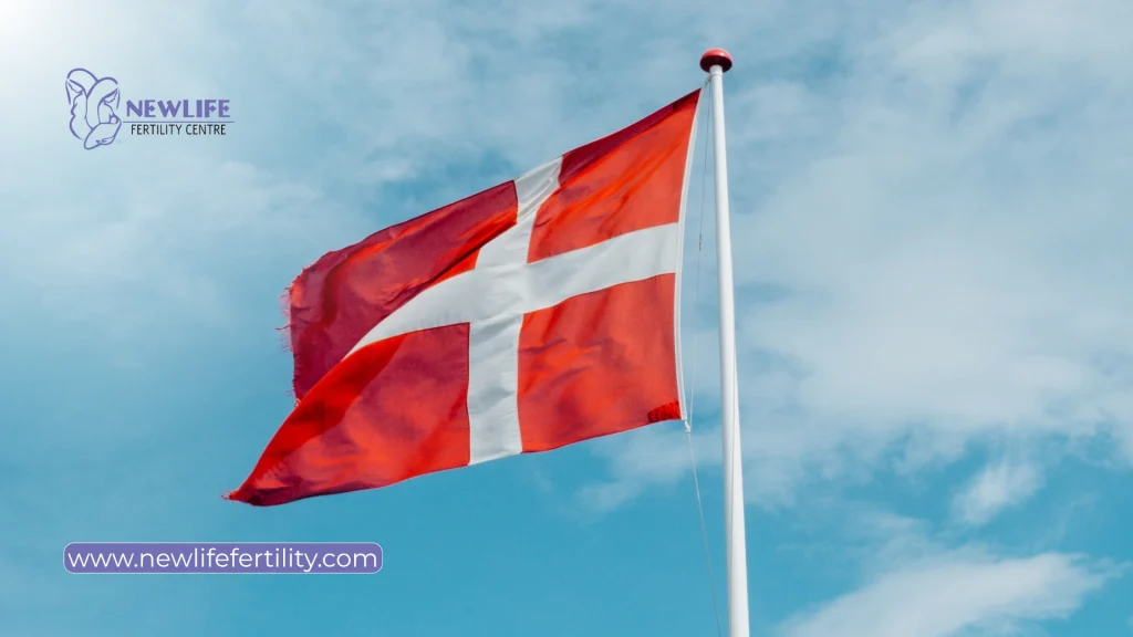 Denmark is recognized as one of the countries with IVF funding.