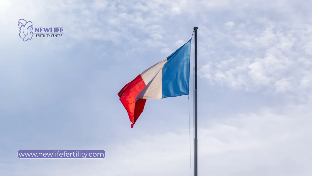 Countries with IVF funding information for France.