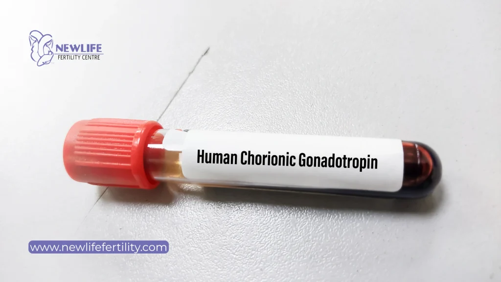 hCG is among drugs to enhance fertility when ovulation requires medical timing.