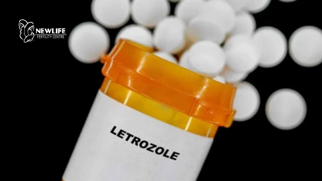 Letrozole as a fertility enhancer for women during ovulation treatment.