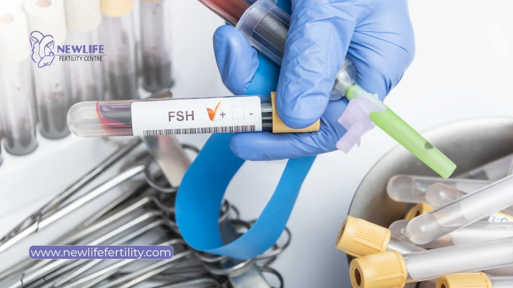 Fertility drugs to enhance pregnancy may support follicle development during fertility treatment.