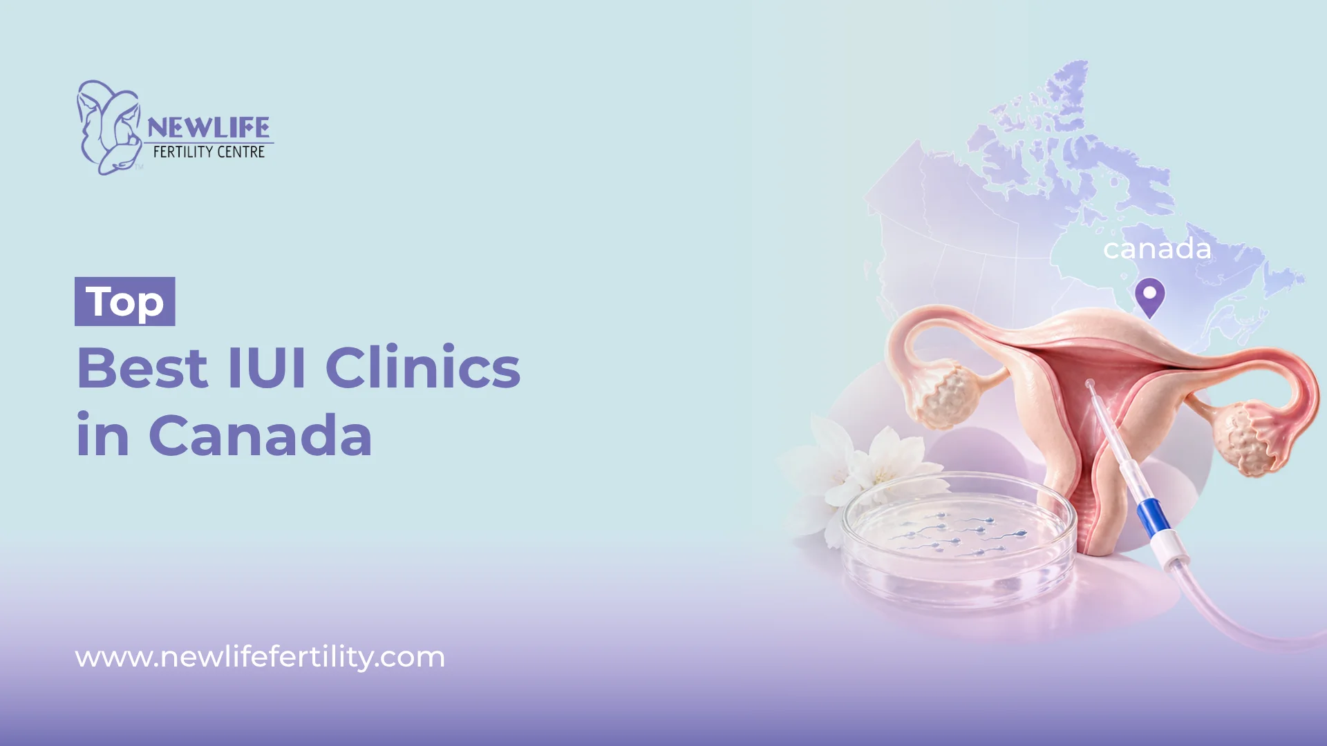 Explore the best IUI clinics in Canada offering fertility treatments and personalised care.